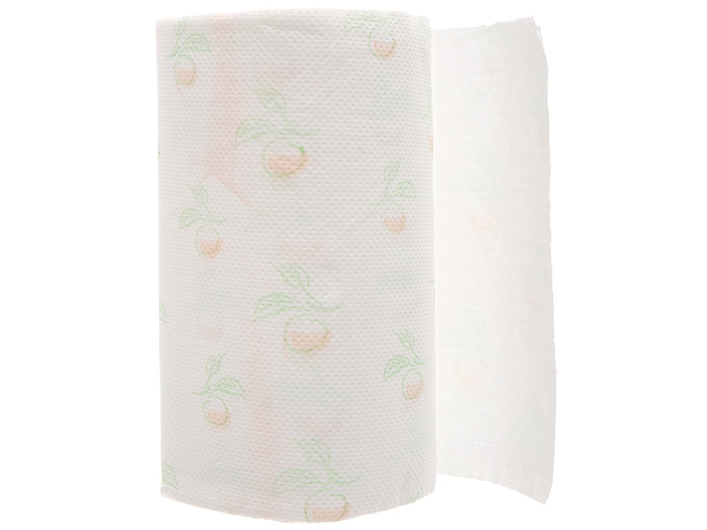 Paseo Printed Household Towel 2 Rolls