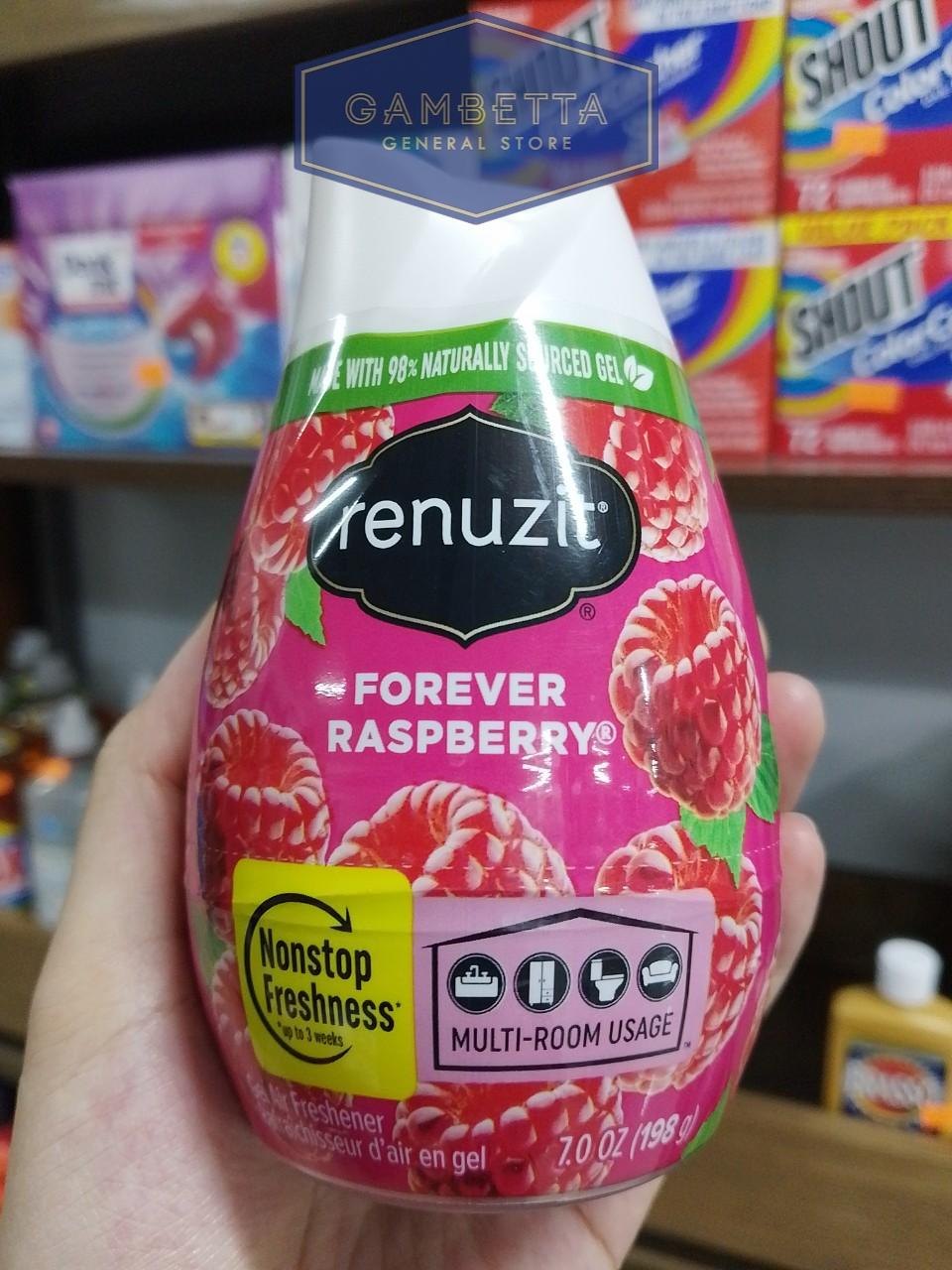 Renuzit Sáp Thơm Phòng Forever Raspberry 198g