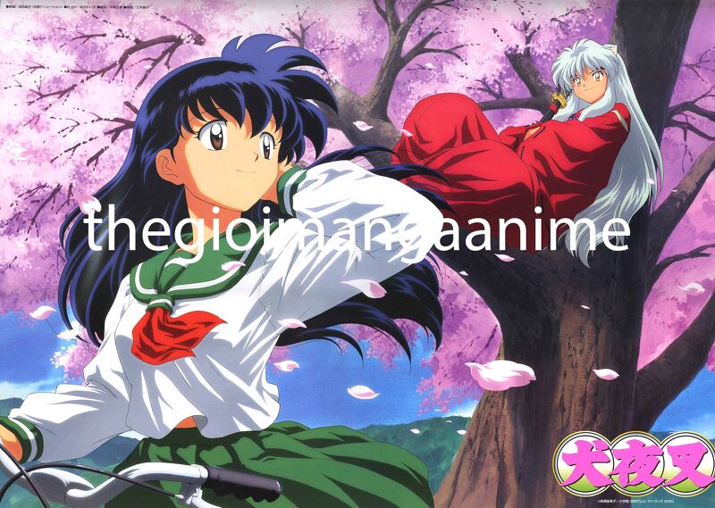 Tấm Poster anime cao cấp giấy 260gsm INUYASHA Khuyển dạ xoa hình chibi ảnh đẹp