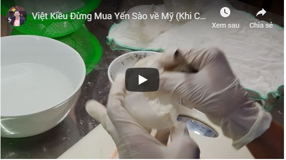 Việt Kiều Đừng Mua Yến Sào về Mỹ (Khi Chưa Biết Điều Này)