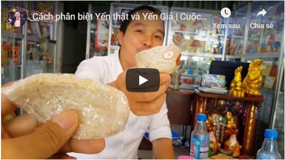 Hướng dẫn cách phân biệt Yến thật và Yến Giả