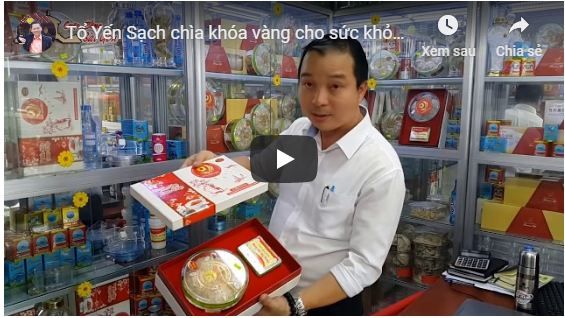 Tổ Yến Sạch chìa khóa vàng cho sức khỏe