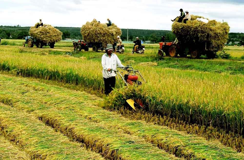 Năng lượng tái tạo năng lượng sinh khối