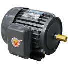 Motor JET vỏ gang 1.5kW (2HP) 220V 1450RPM