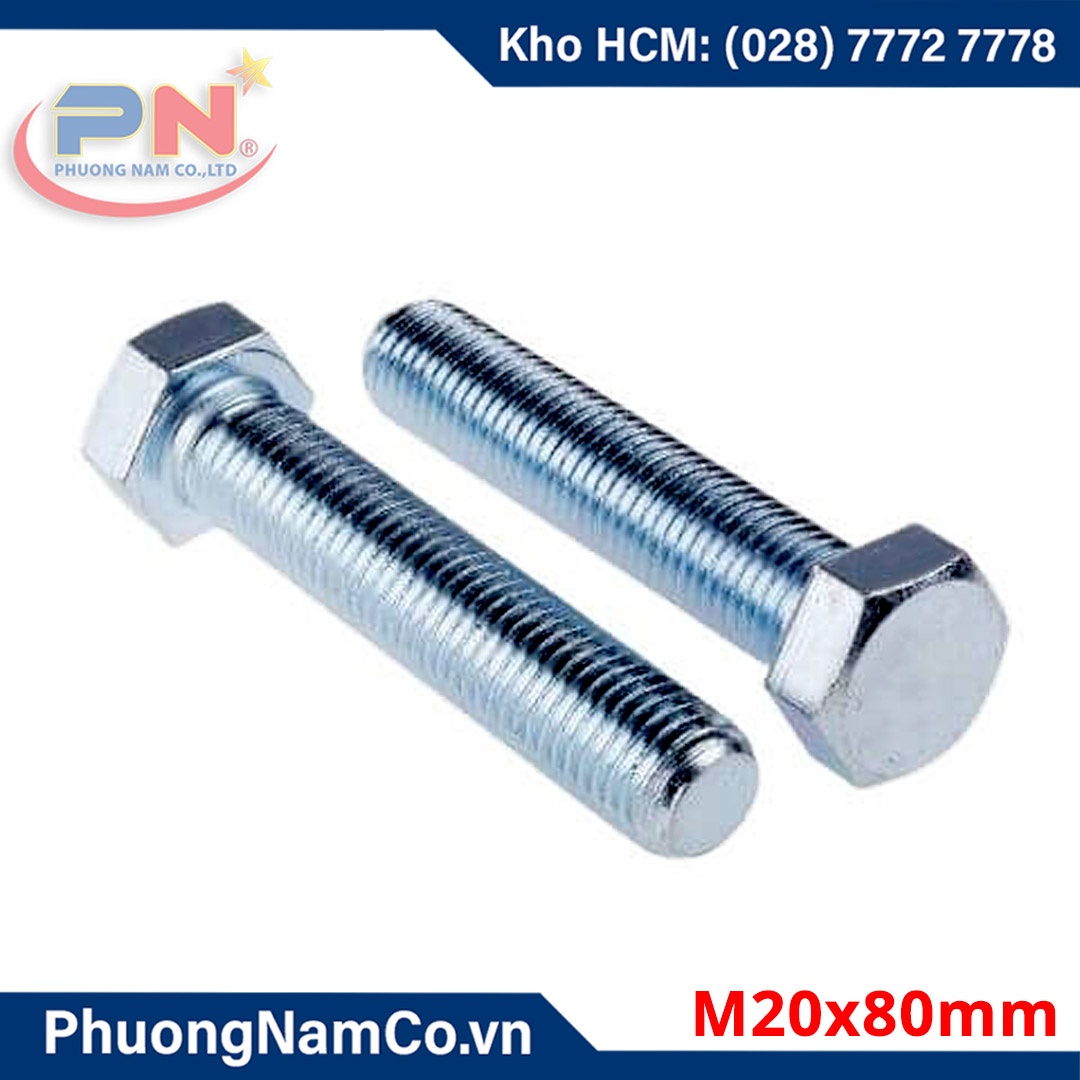 Bulong mạ kẽm M20x80mm