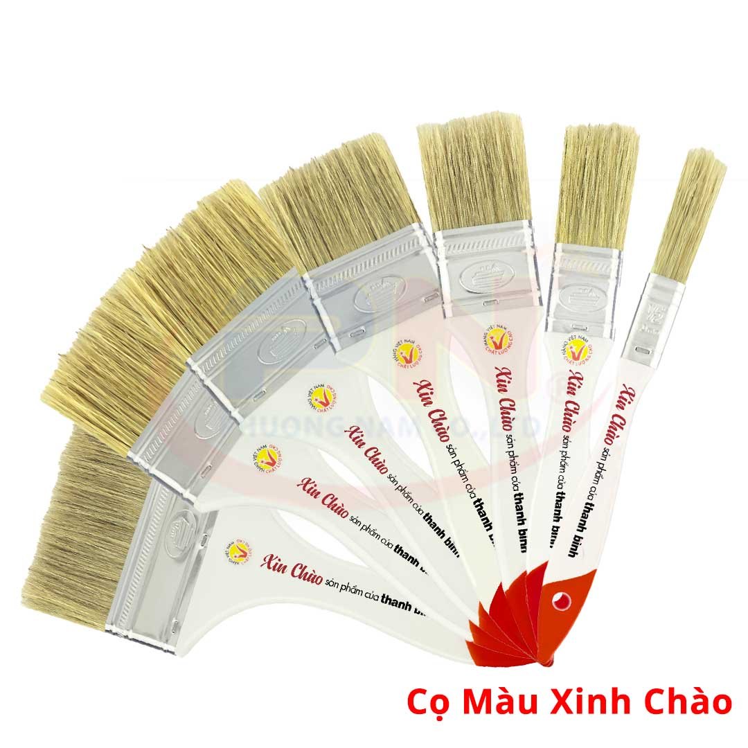 Cọ Màu Xin Chào Thanh Bình