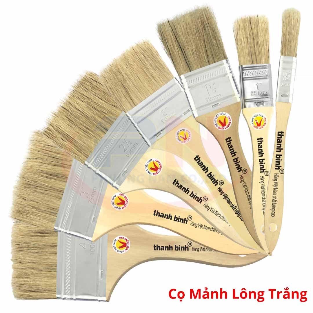 Cọ Mảnh Lông Trắng Thanh Bình