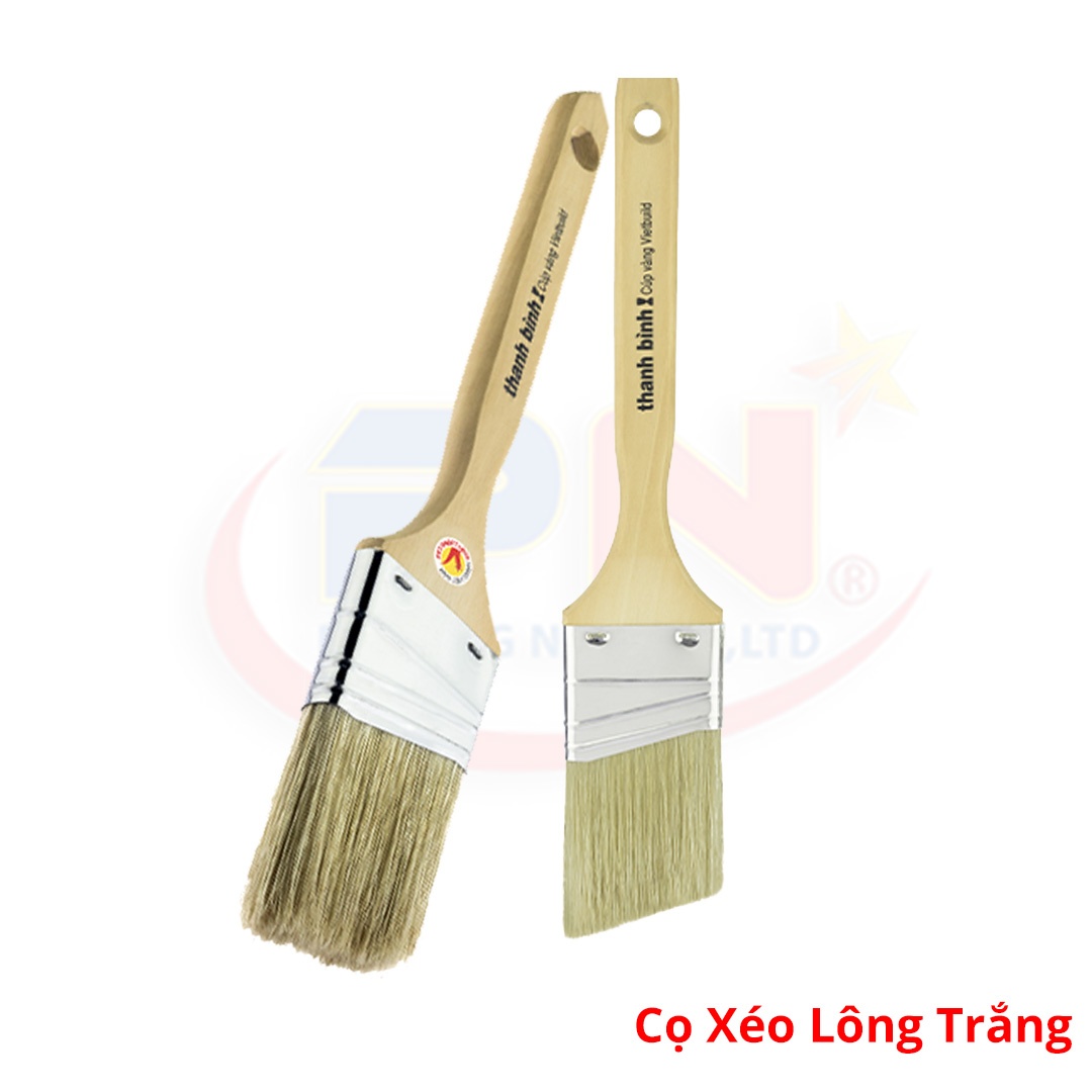 Cọ Đầu Xéo Lông Trắng Thanh Bình