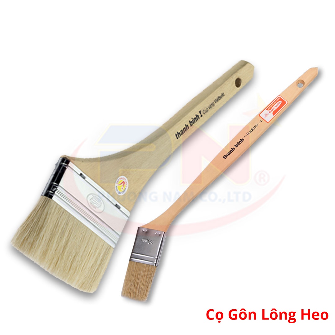 Cọ Gôn Lông Heo Thanh Bình