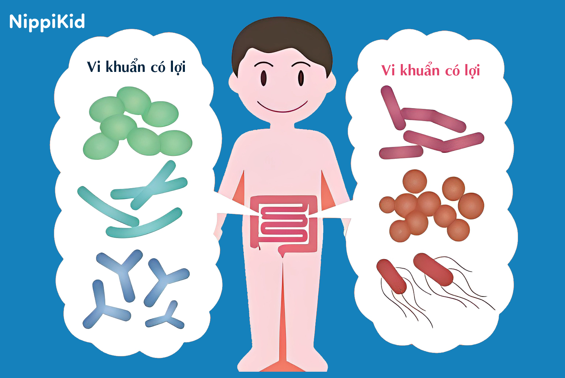 -La-chan-mien-dich-nam-o-ruot-Phat-hien-khoa-hoc-mo-ra-huong-moi-trong-cham-soc-suc-khoe-cho-tre-nho.png