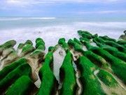 Có một ngôi làng đặc biệt ở Hà Lan mà lúc về già ai cũng muốn đến sống