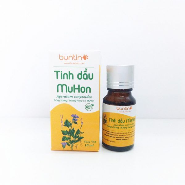 Cơ chế hoạt động của tinh dầu Muhon trong điều trị viêm xoang