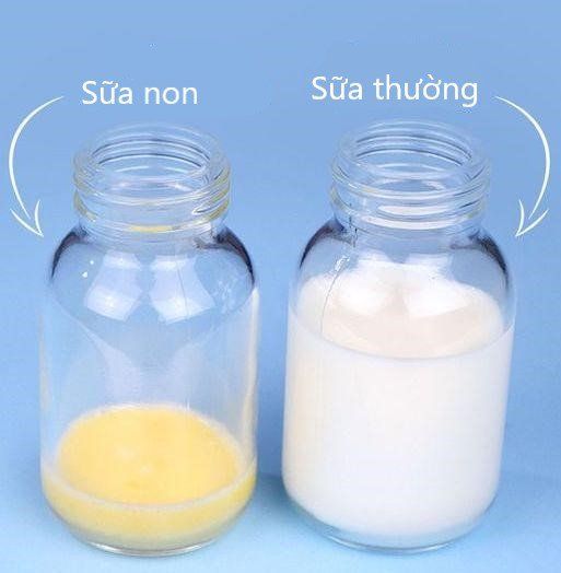 3 lợi ích từ sữa non mà mẹ cần biết