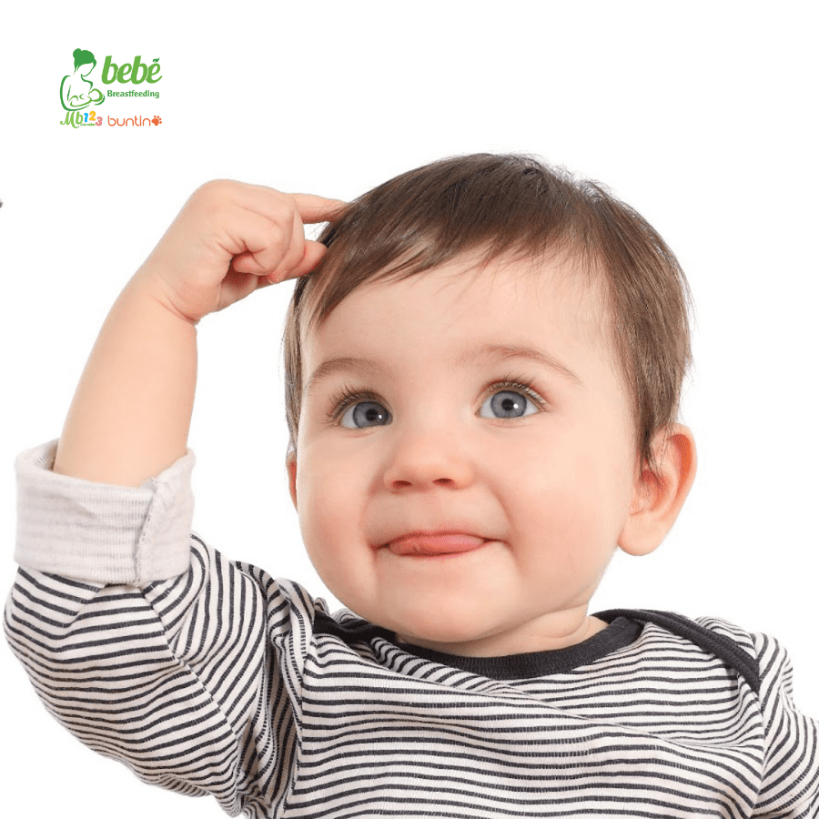 6 việc siêu đơn giản kích thích trí não bé 3 tháng tuổi mà mọi bà mẹ đều có thể làm