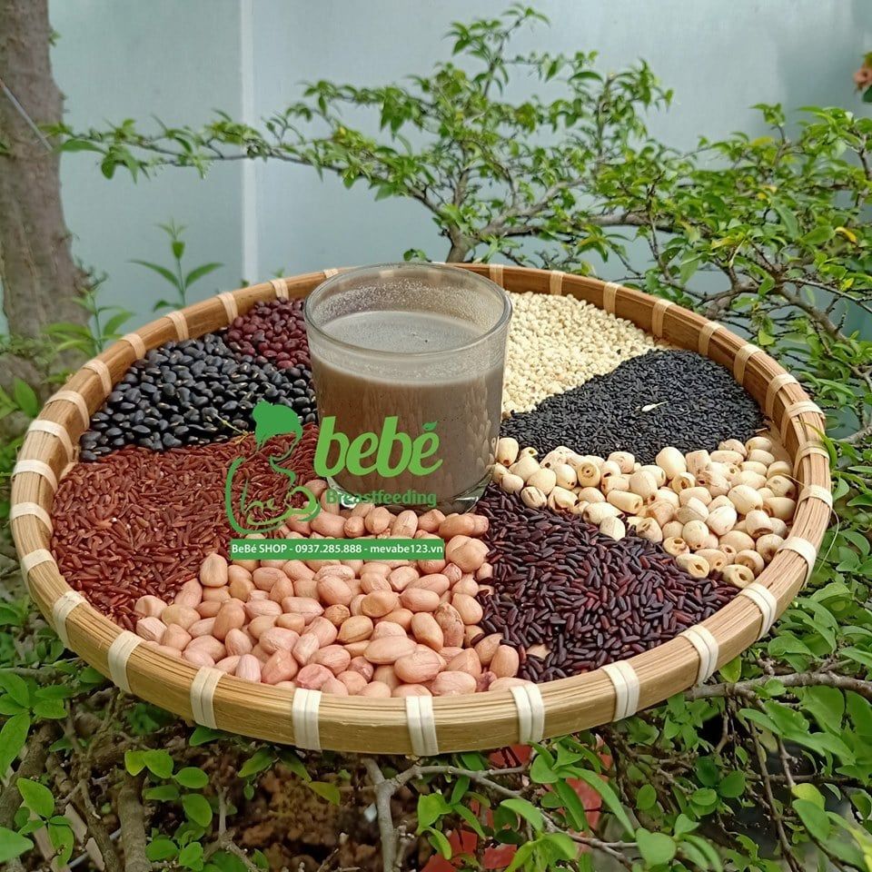 NGŨ CỐC NGUYÊN CÁM CÓ THỰC SỰ LỢI SỮA?