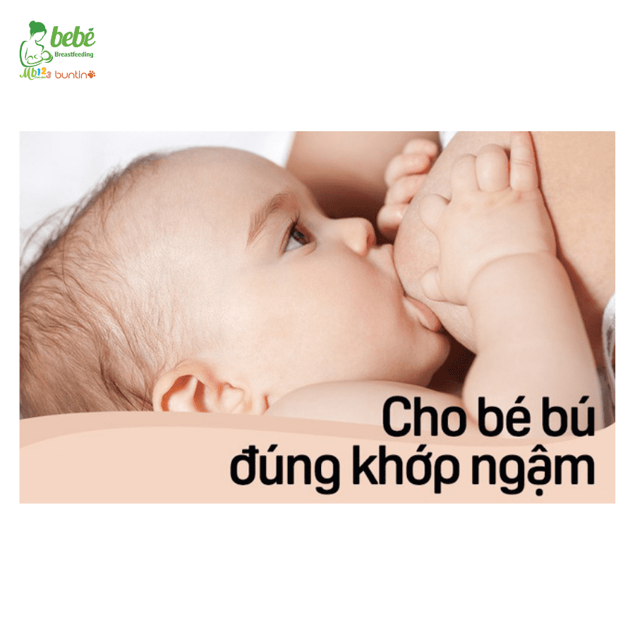 Thế nào là khớp ngậm đúng? Hướng dẫn xác định khớp ngậm đúng