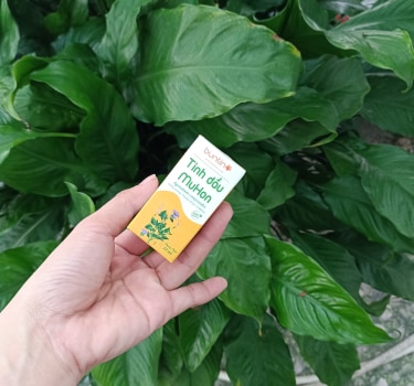 Tinh dầu MuHon Buntino 10ml