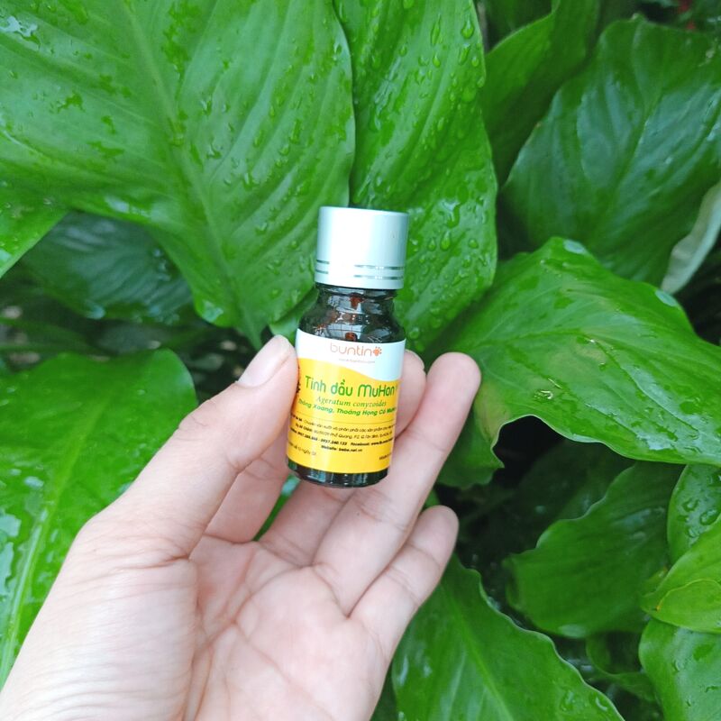 Tinh dầu MuHon Buntino 10ml