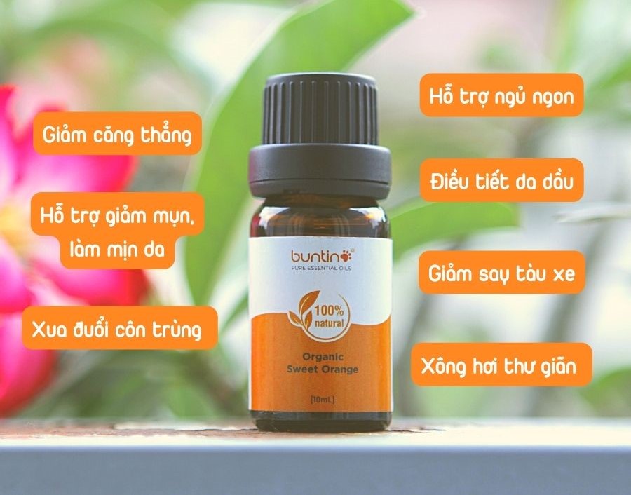 Tinh Dầu Cam Ngọt Buntino 10ml