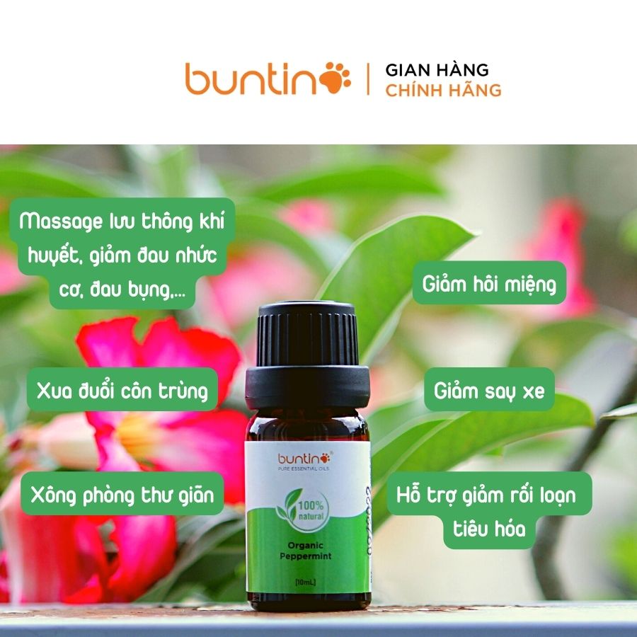 Tinh Dầu  Bạc Hà Buntino 10ml