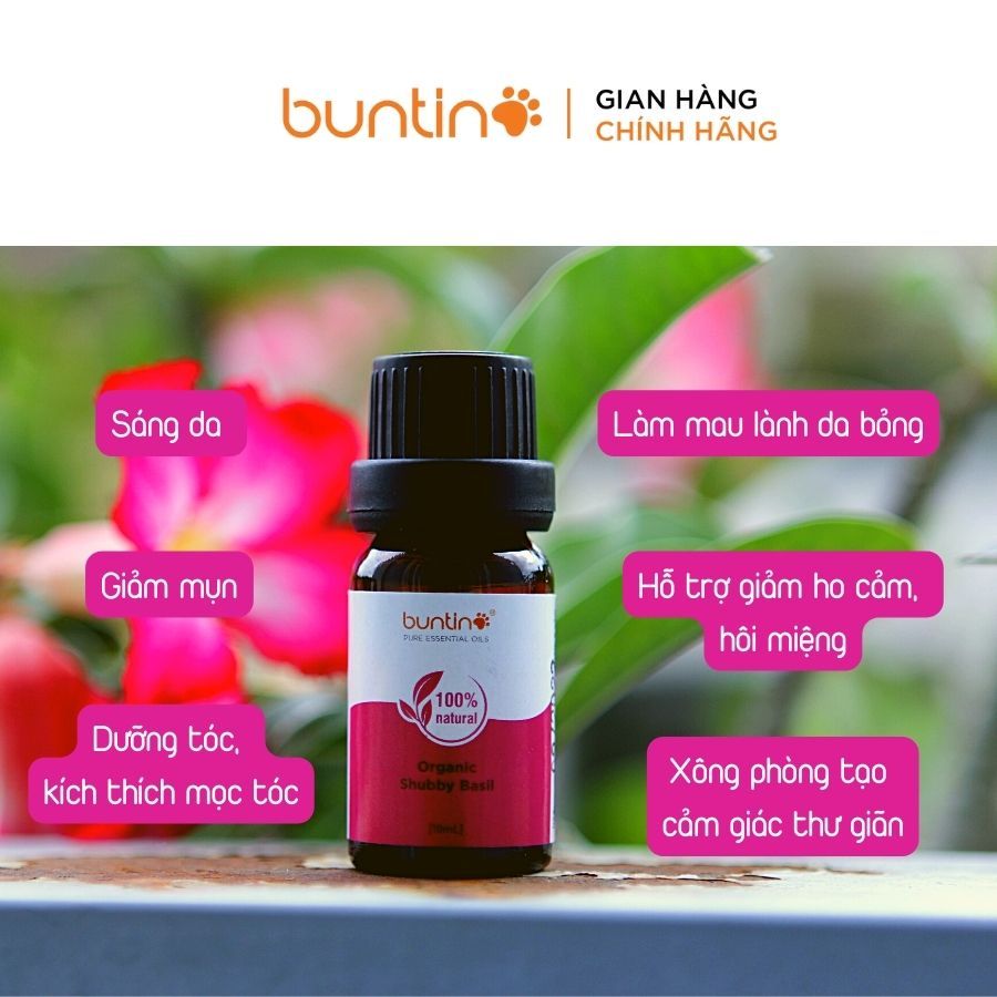 Tinh Dầu Hương Nhu Tím Buntino 10ml