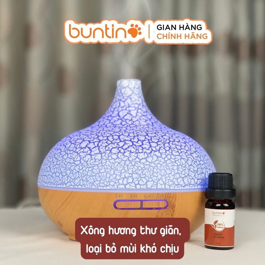 Tinh Dầu Quế Buntino