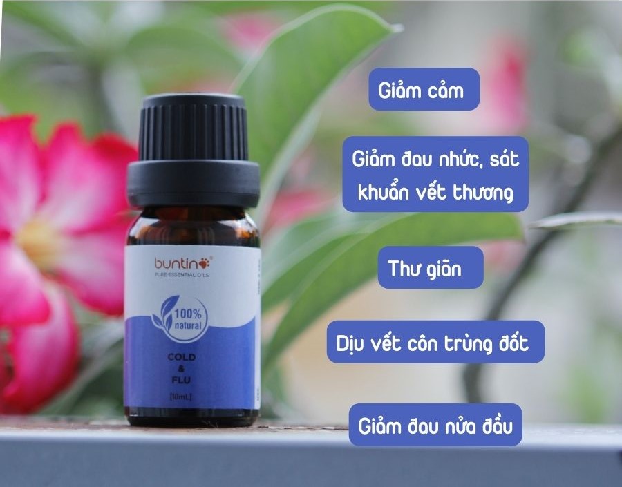 Tinh dầu giải cảm Cold & Flu Buntino