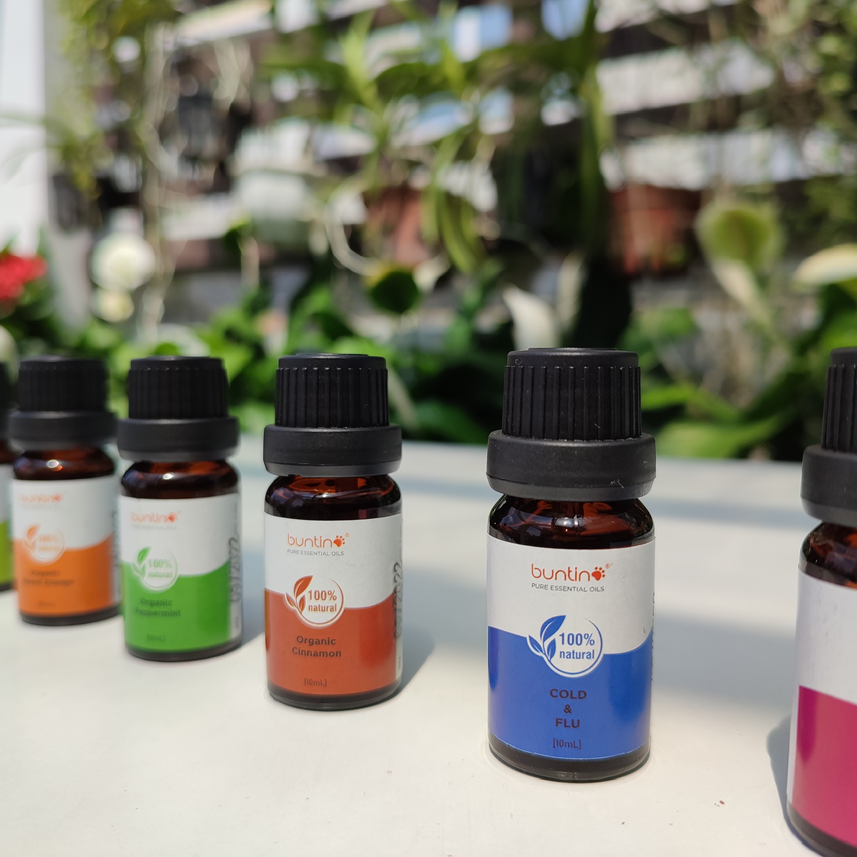 Tinh dầu giải cảm Cold & Flu Buntino