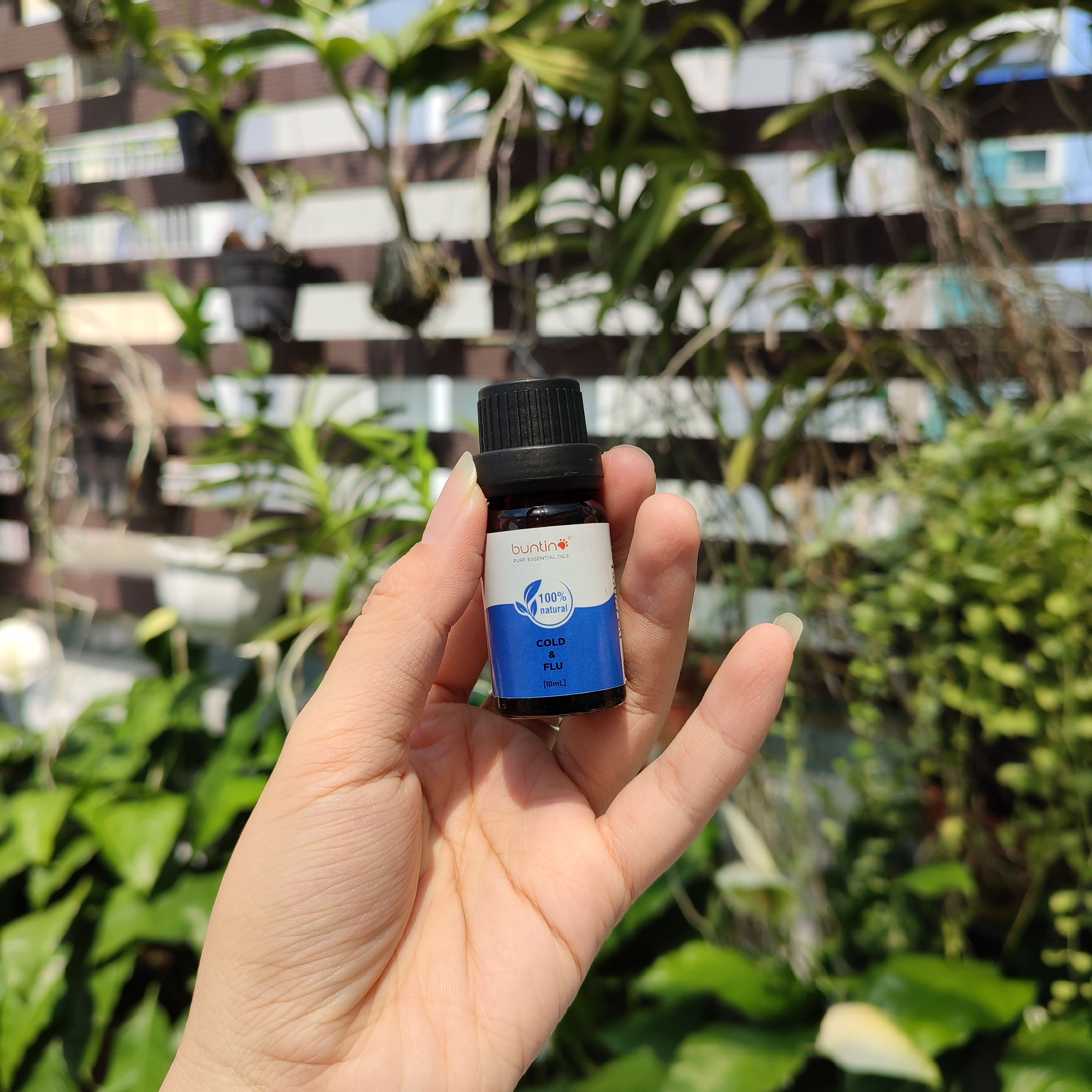 Tinh dầu giải cảm Cold & Flu Buntino