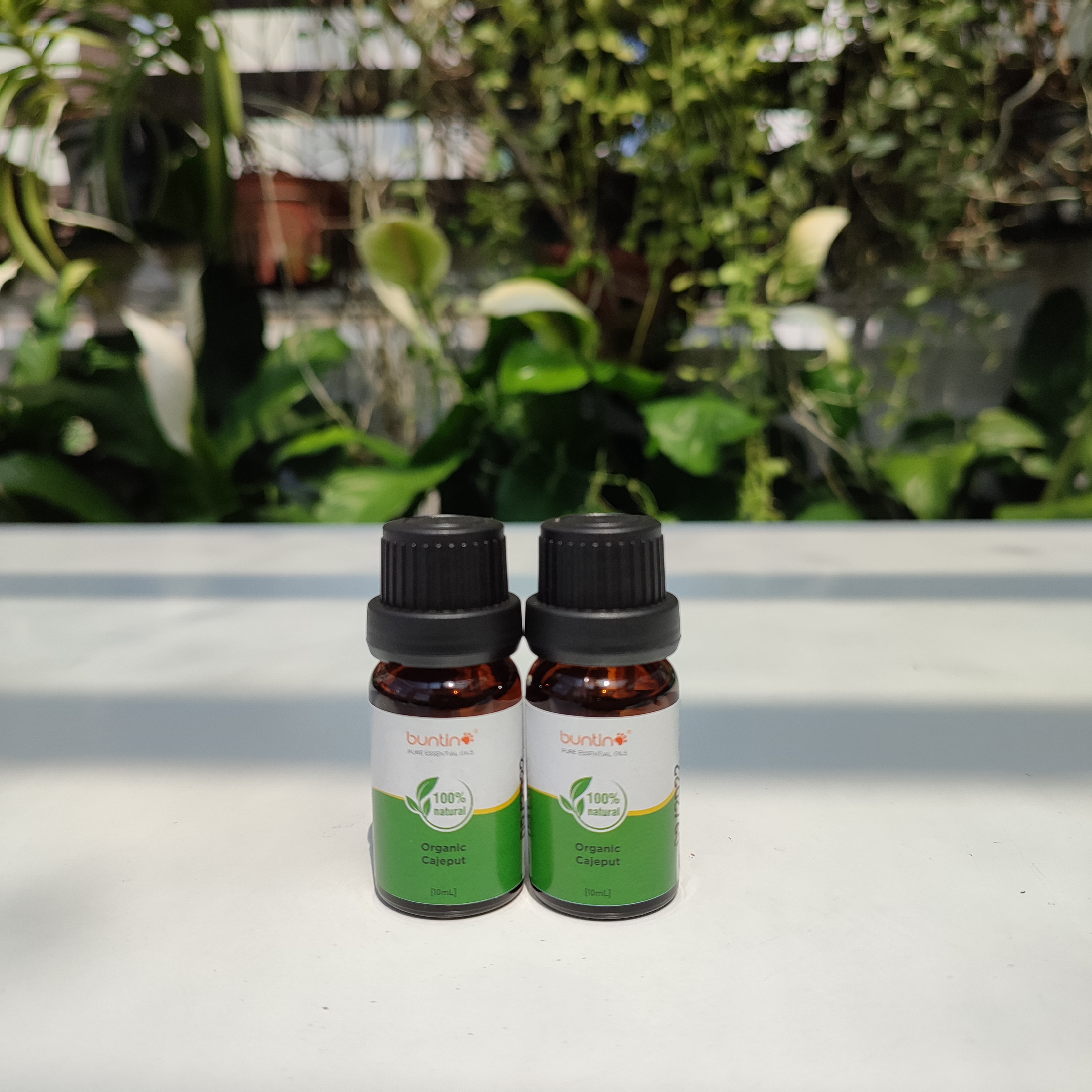 Tinh Dầu Organic Cajeput Buntino 10ml - Tràm Gió