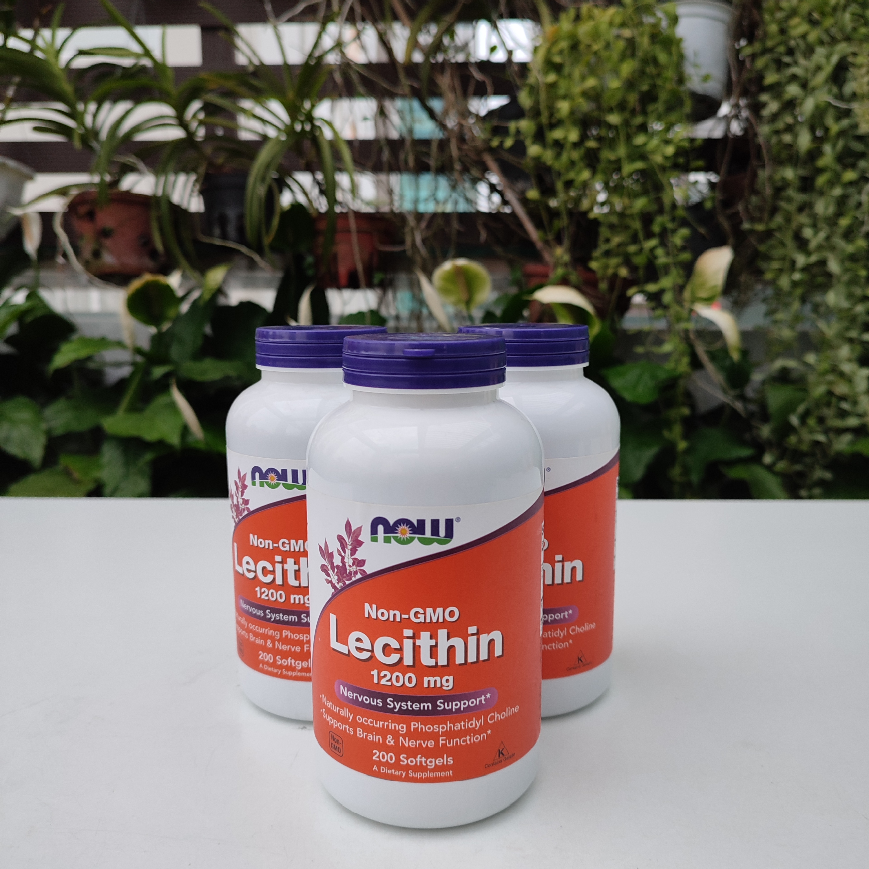 Now Foods Sunflower/Non-GMO Lecithin 200 viên hỗ trợ trị tắc tia sữa