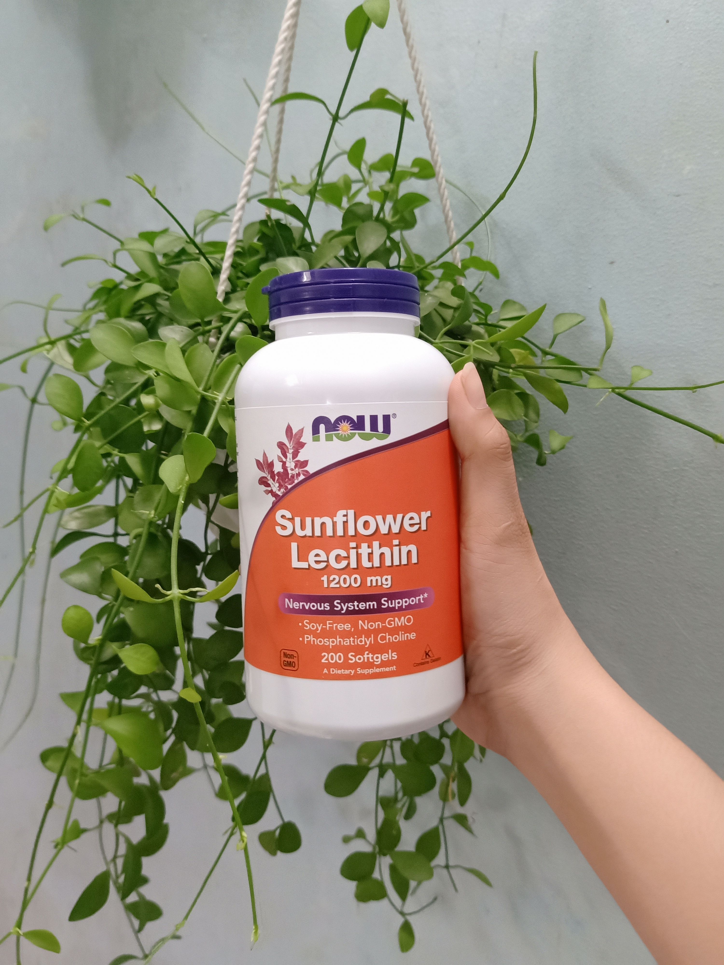 Now Foods Sunflower/Non-GMO Lecithin 200 viên hỗ trợ trị tắc tia sữa