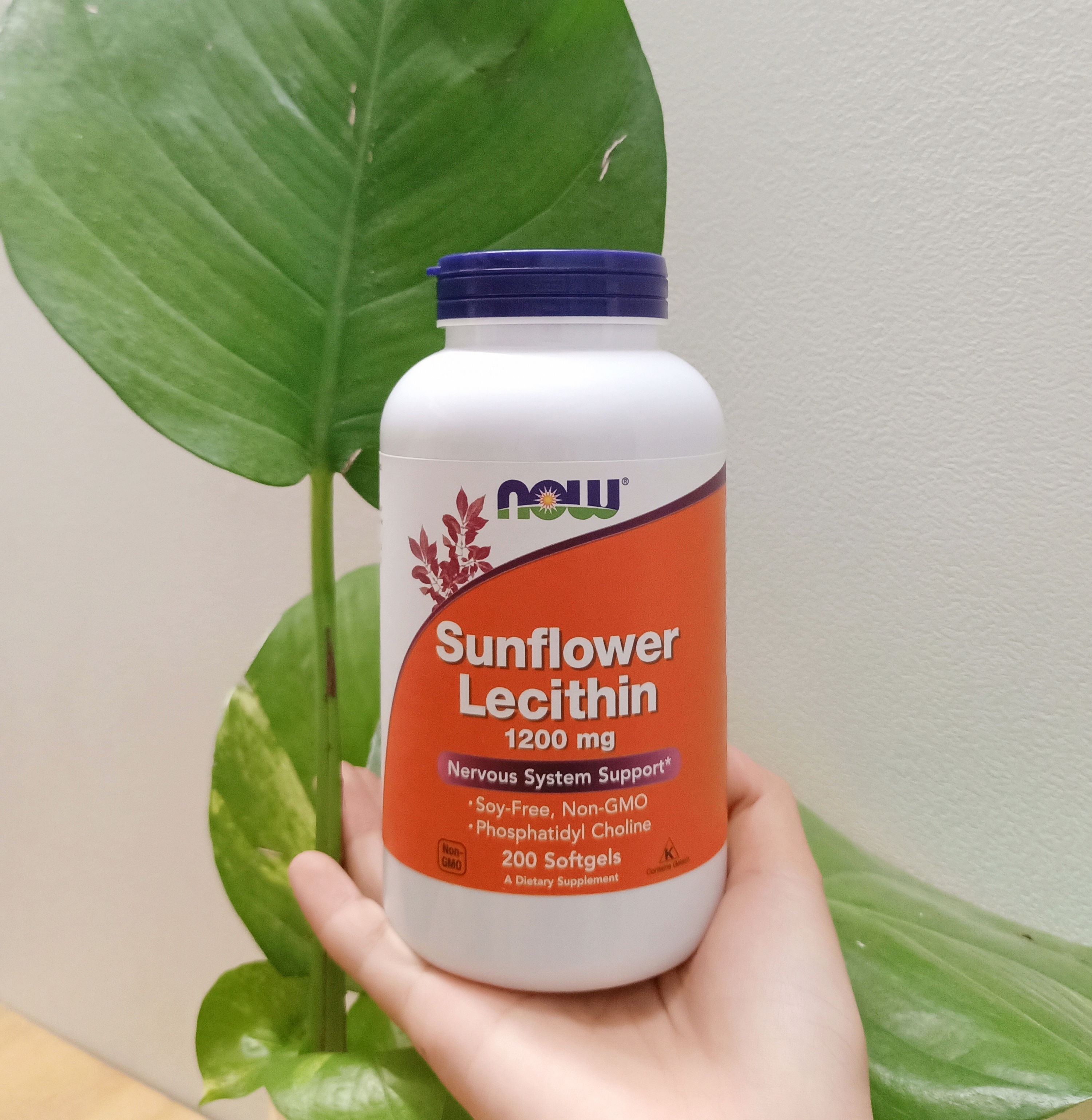 Now Foods Sunflower/Non-GMO Lecithin 200 viên hỗ trợ trị tắc tia sữa