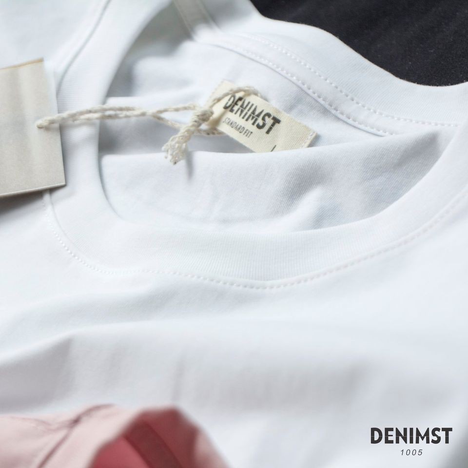 Áo thun nam basic denimst 2