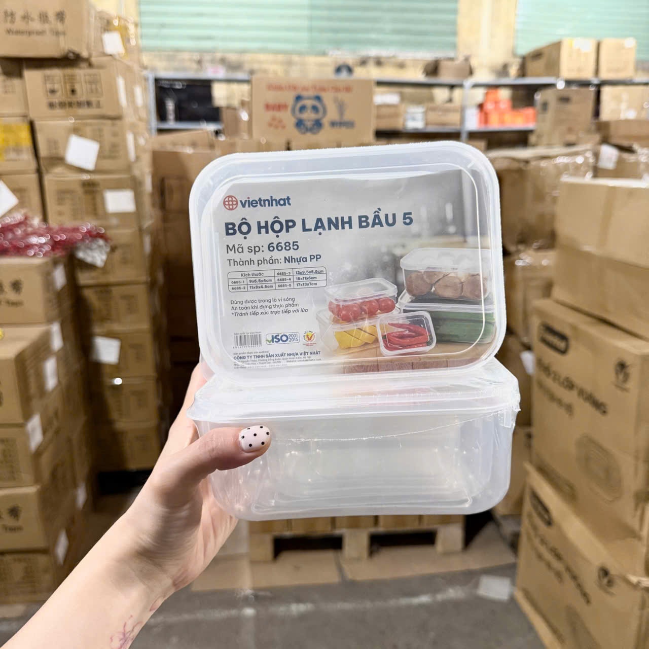 [36] Bộ 5 Hộp Lạnh Bầu 6685