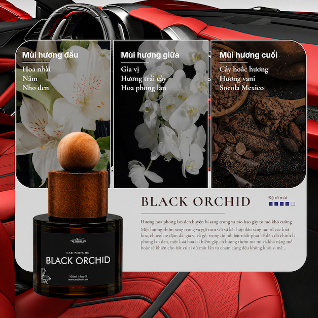 ChatGPT Image 13_43_51 6 thg 7, 2026.png