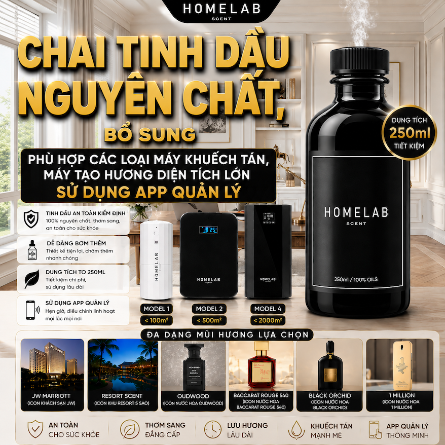 ChatGPT Image 19_11_01 12 thg 7, 2026.png