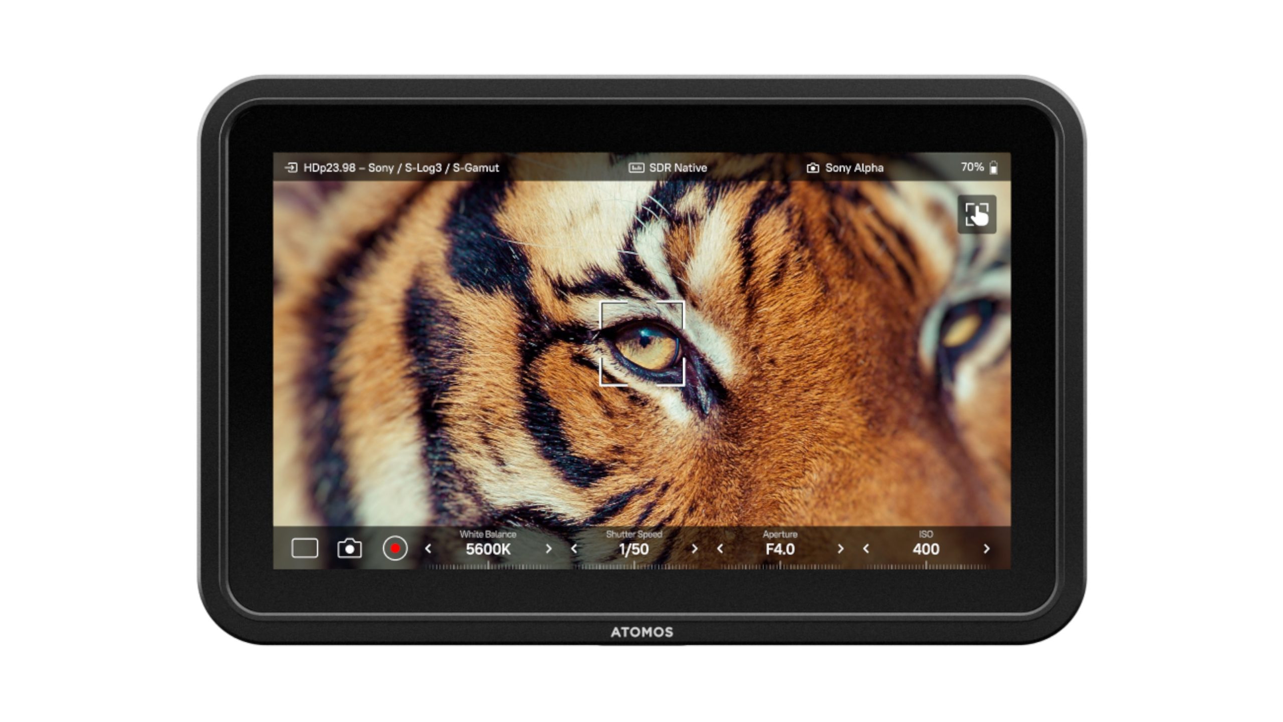 Atomos Shinobi 7 II Ra Mắt: Màn Hình 7