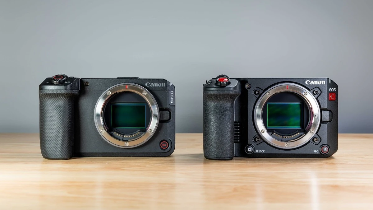 So sánh hiệu năng quay video full-frame giữa Canon EOS C50 và Canon EOS R6 V