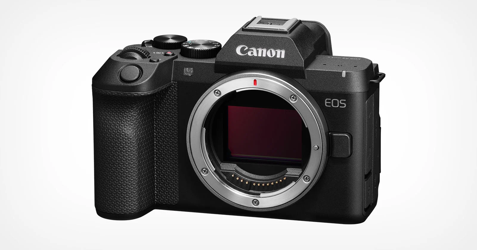 Canon EOS R8 II: Đánh Giá IBIS & 4Kp60 Cho Nhiếp Ảnh Chuyên Nghiệp