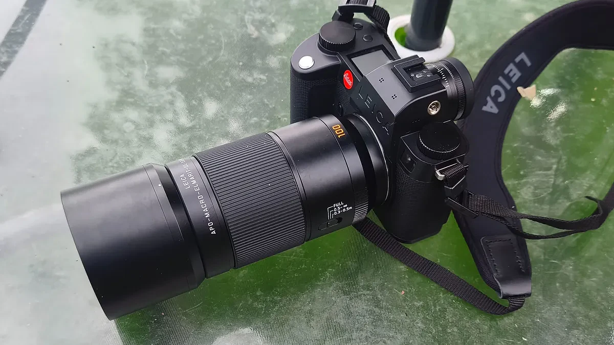 Leica APO-Macro-Elmarit-SL 100mm: Review Lens Macro Cao Cấp Dòng L - Hình 7