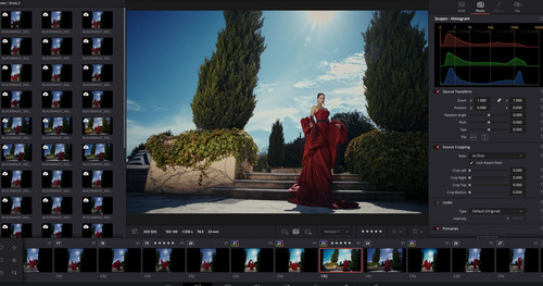 DaVinci Resolve 21: Thay Thế Lightroom? RAW, Tethering Đỉnh Cao