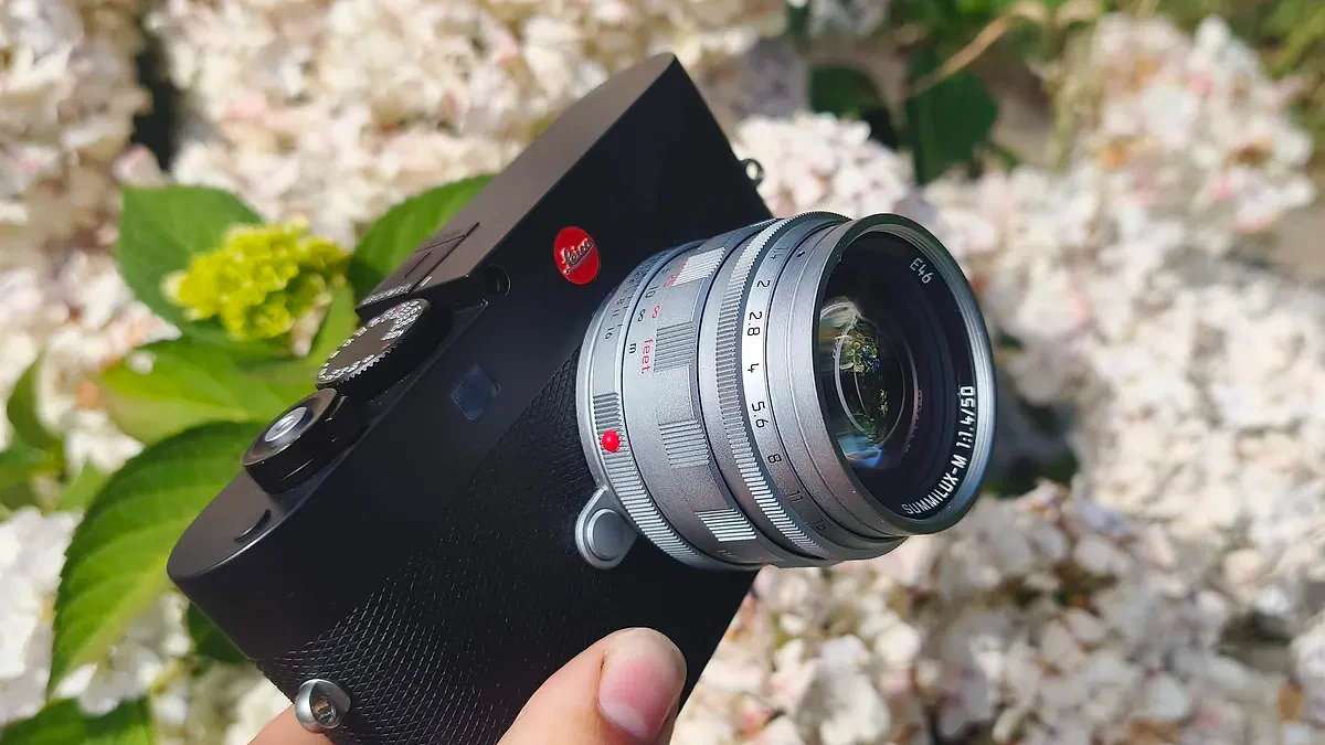 Đánh giá Leica 50mm Summilux-M f/1.4: Huyền thoại tái sinh cho ảnh nghệ thuật