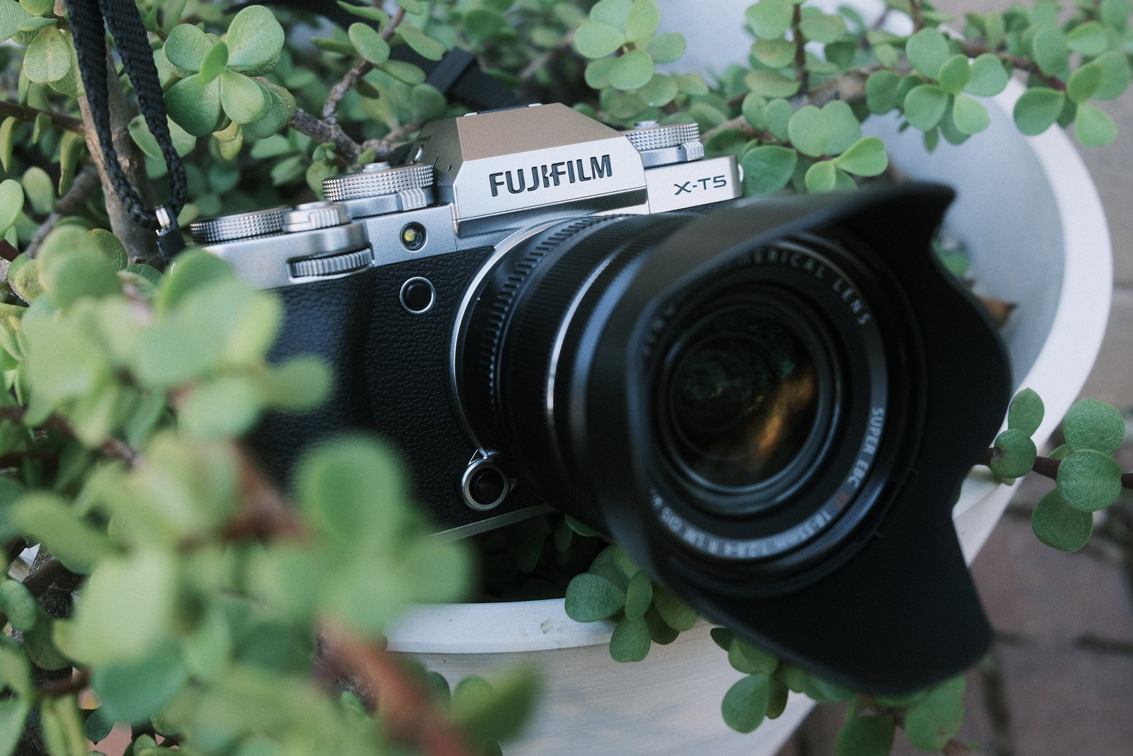 Fujifilm X-T6: Dự Đoán Cấu Hình Và Nâng Cấp 2026