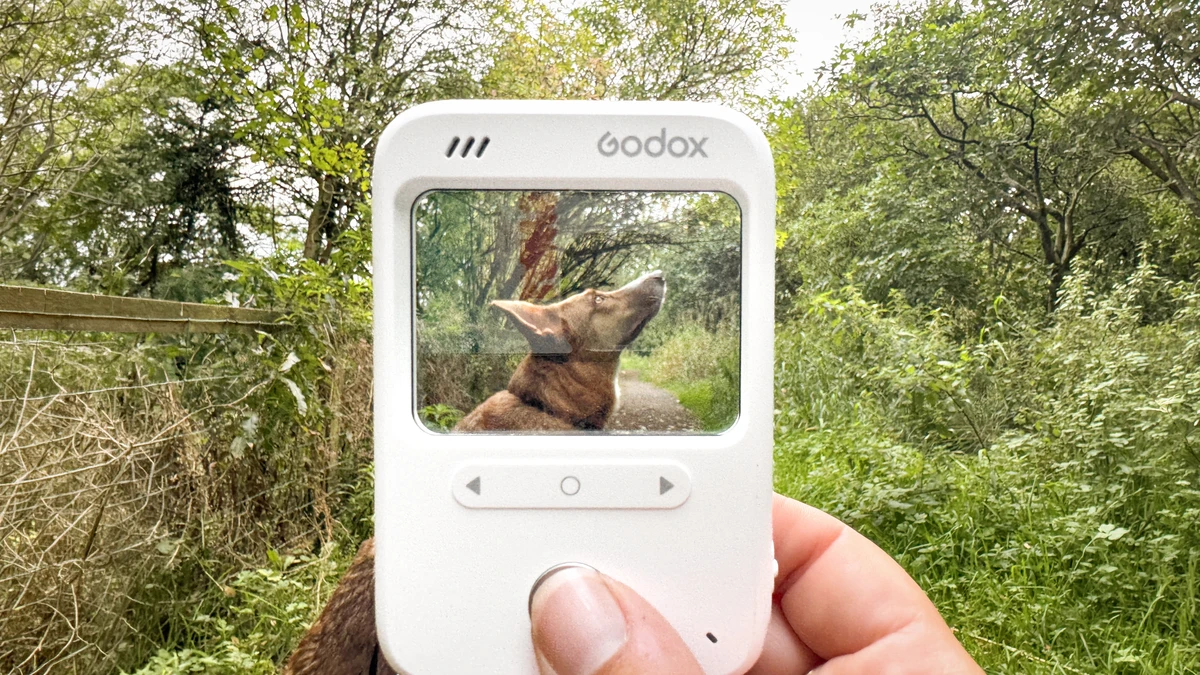 Godox C100 Review: Trải Nghiệm Nhiếp Ảnh Analog Không Áp Lực