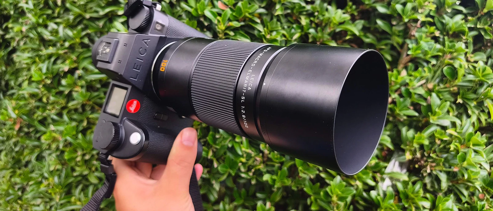 Leica APO-Macro-Elmarit-SL 100mm: Review Lens Macro Cao Cấp Dòng L