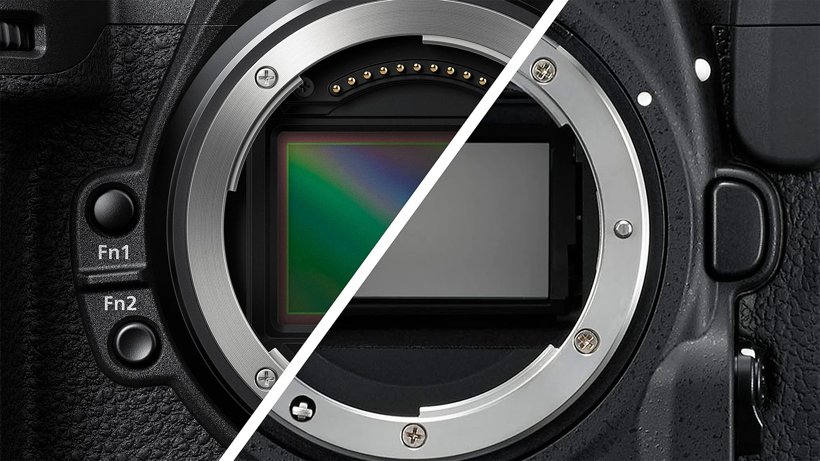 Nikon Z8 và Bộ Sưu Tập 10 Máy Ảnh Chuyên Nghiệp: Góc Nhìn Thực Tế