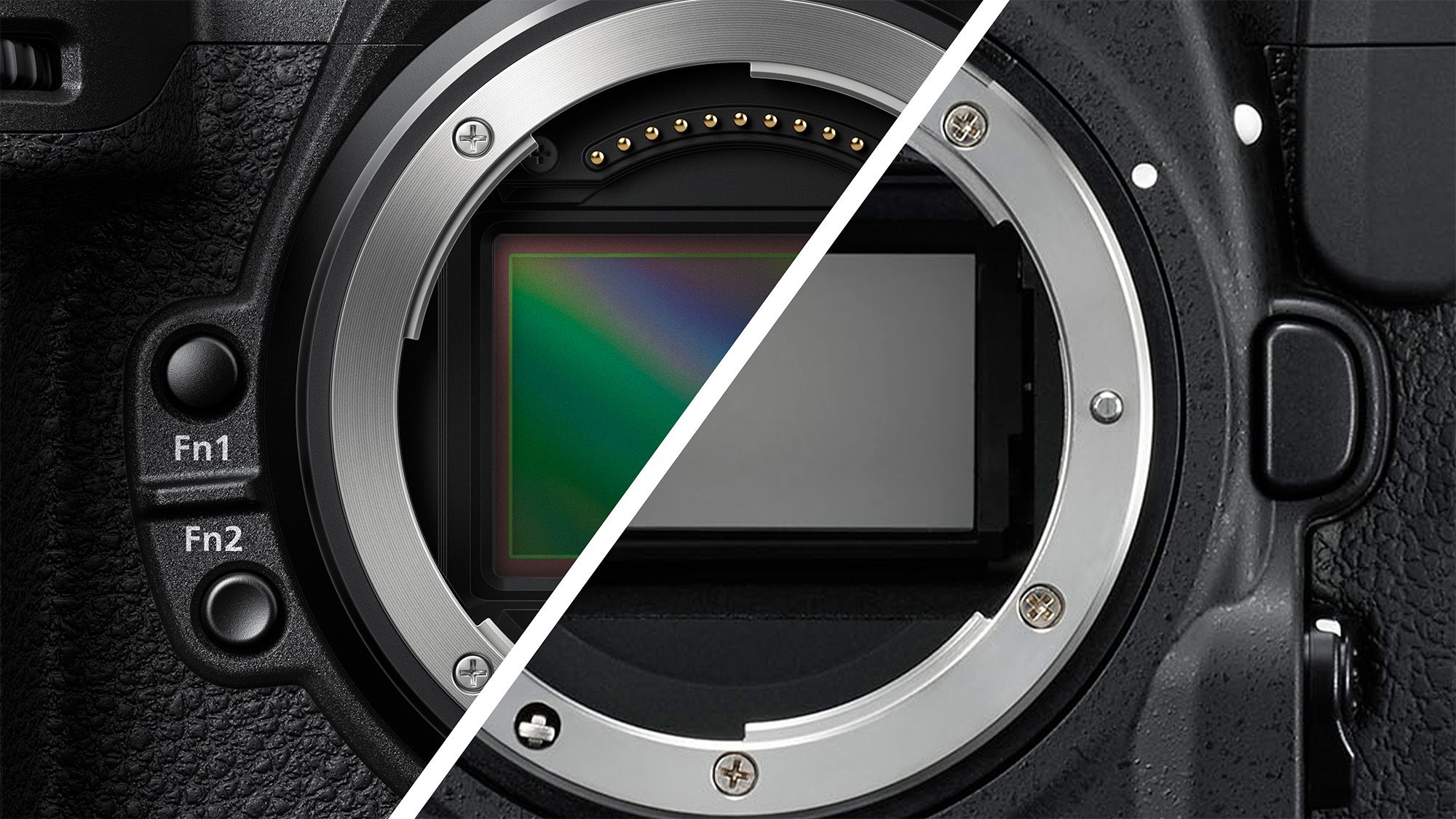 Nikon Z8 và Bộ Sưu Tập 10 Máy Ảnh Chuyên Nghiệp: Góc Nhìn Thực Tế