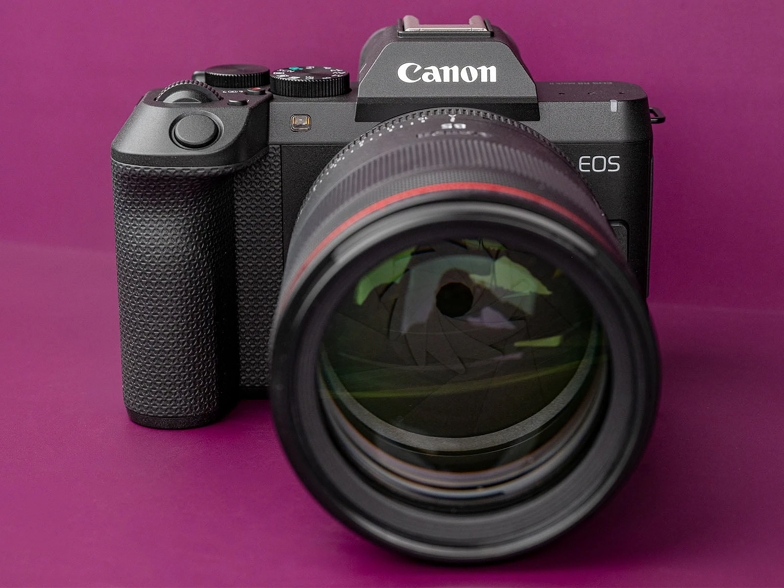 Canon EOS R8 Mark II Review: Full Frame Giá Tốt Dễ Tiếp Cận - Hình 3