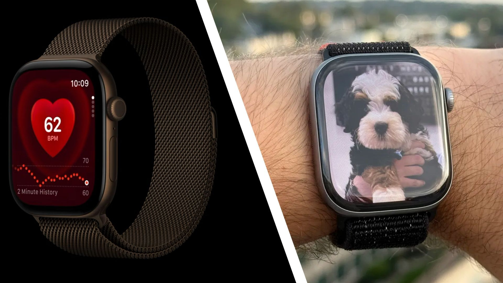 So Sánh Apple Watch Series 12 vs Series 11: Nên Nâng Cấp?